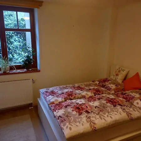 Vila Apartman U Prehrady * جابلونك ناد نيسو