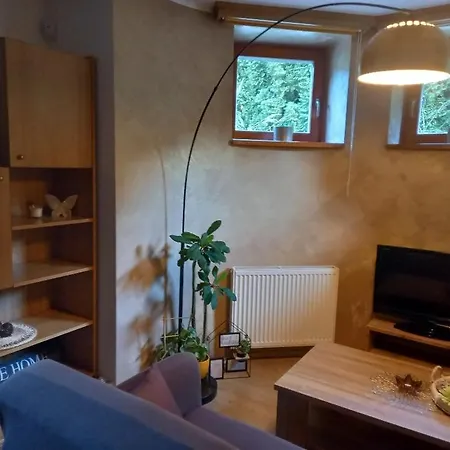 Vila Apartman U Prehrady شقة *